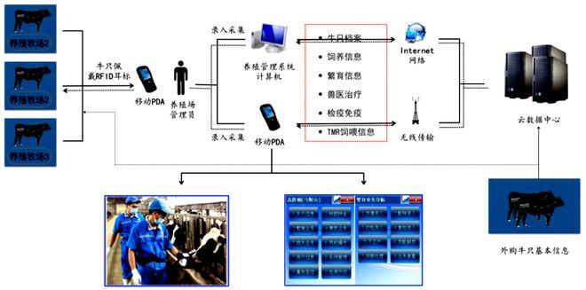 喜訊！中恒國科榮獲中國動(dòng)物疫病預(yù)防控制中心耳標(biāo)生產(chǎn)廠商認(rèn)定，助推網(wǎng)絡(luò)信息技術(shù)推廣服務(wù)