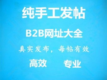 智能代發品牌宣傳廣告服務 天津網站建設與網絡信息技術推廣新篇章